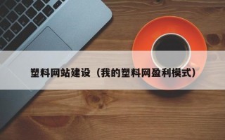 怀化塑料网站建设（我的塑料网盈利模式）