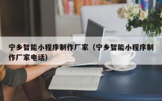 怀化宁乡智能小程序制作厂家（宁乡智能小程序制作厂家电话）