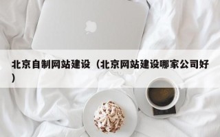 怀化北京自制网站建设（北京网站建设哪家公司好）